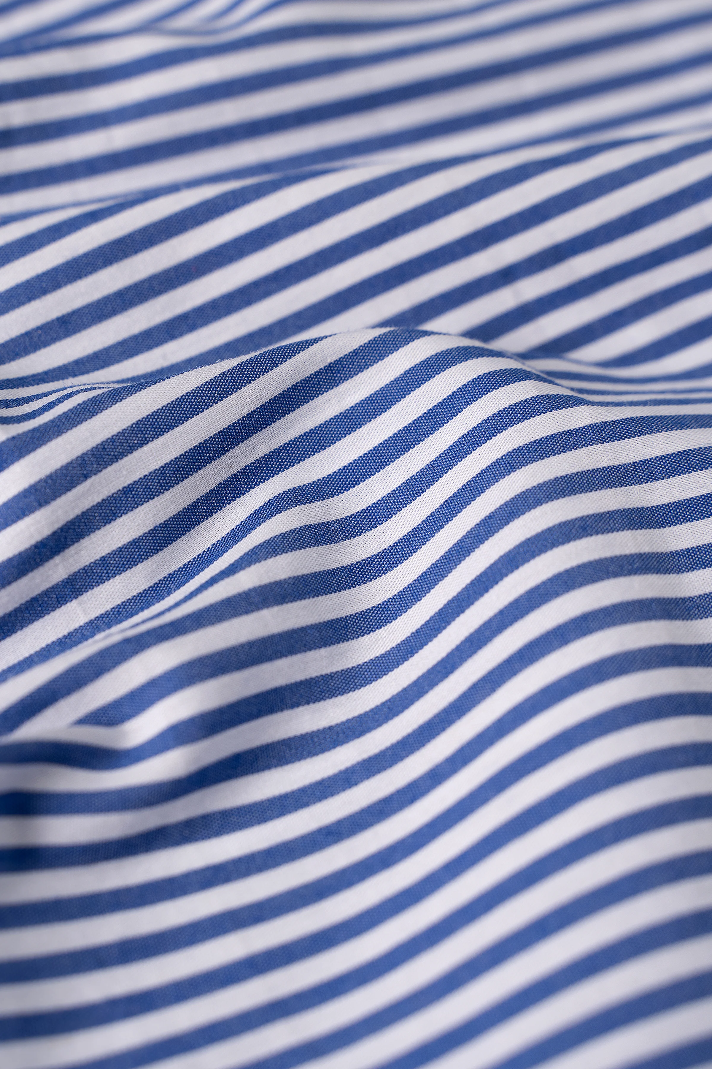 LIMITED EDITION SHIRT BLUE STRIPES - Image 3