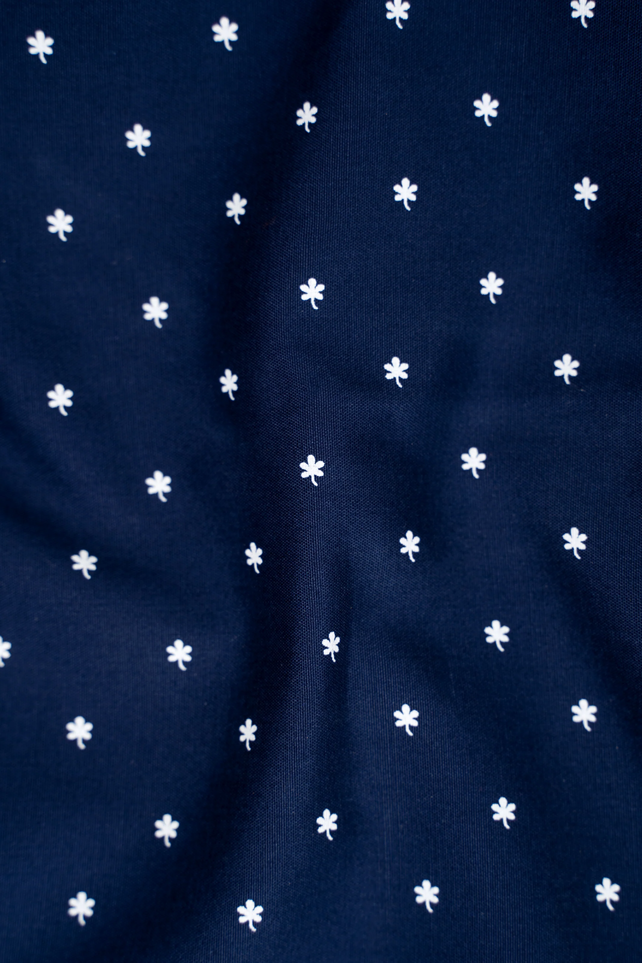 LIMITED EDITION SHIRTS NAVY PRINTED - Image 3