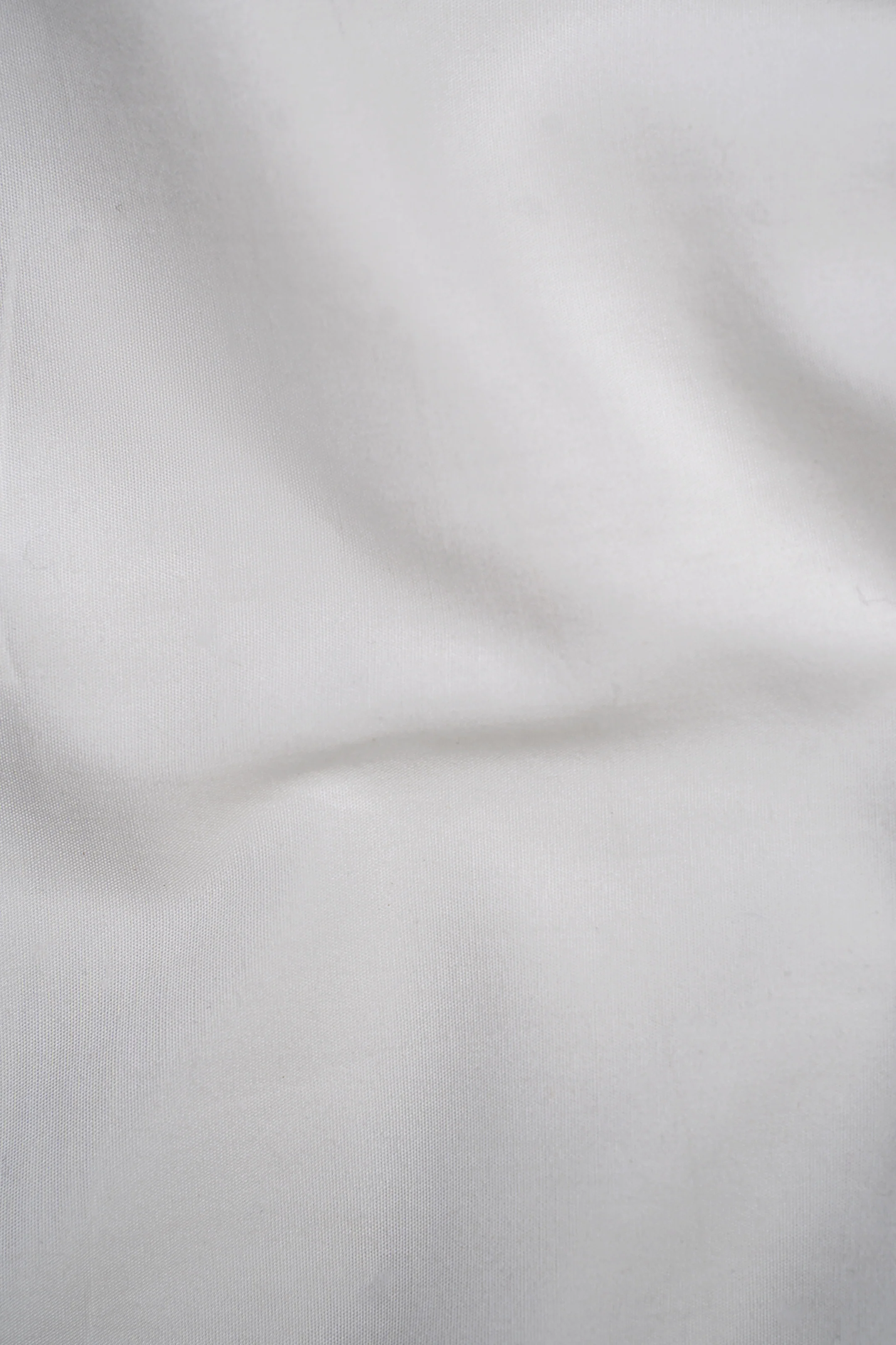 LIMITED EDITION SHIRTS WHITE - Image 3