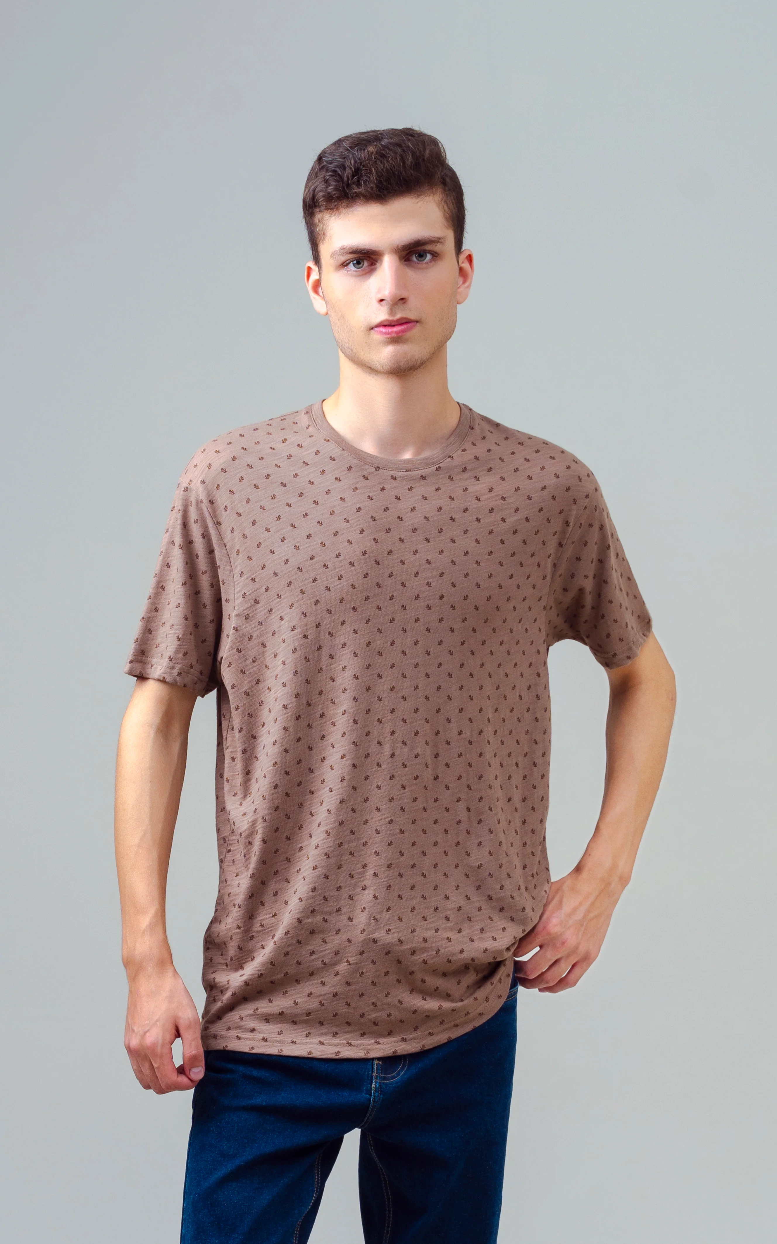 REGULAR FIT PRINTED T SHIRT KHAKI - Image 5